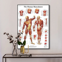 Póster del Sistema Muscular del Anatomía Humana, Mapa Corporal Educativo Médico, Impresiones Artísticas, Cuadro en Lienzo, Decoración de Pared para Clínica