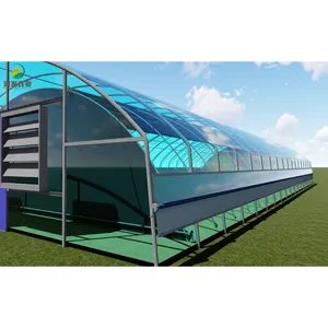 Greenhouse filme túnel duplo, 8m x 48m, arco duplo, com privacidade leve, 100% sistema de apagão para sala de berçário