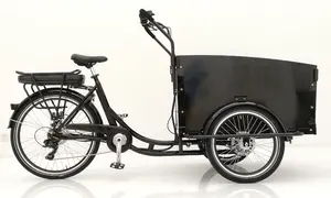 Polish Fabriek Elektrische Cargo Bike Rear Hub Motor Hydraulische Rem 3 Wiel Driewieler Carry Kinderen En Goederen