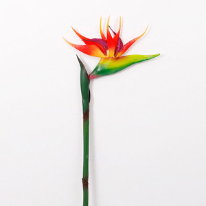 การตกแต่งบ้านทำด้วยมือนกเทียมจากดอกไม้สวรรค์ <span class=keywords><strong>Strelitzia</strong></span> <span class=keywords><strong>reginae</strong></span> ทำจากวัสดุ PU สำหรับปีใหม่และของตกแต่งกิจกรรม - Product Image 3