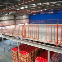 Étagère de mezzanine multi-niveaux, connectée par boulons, en acier industriel thermolaqué, capacité de charge de 1000 kg/m, robuste