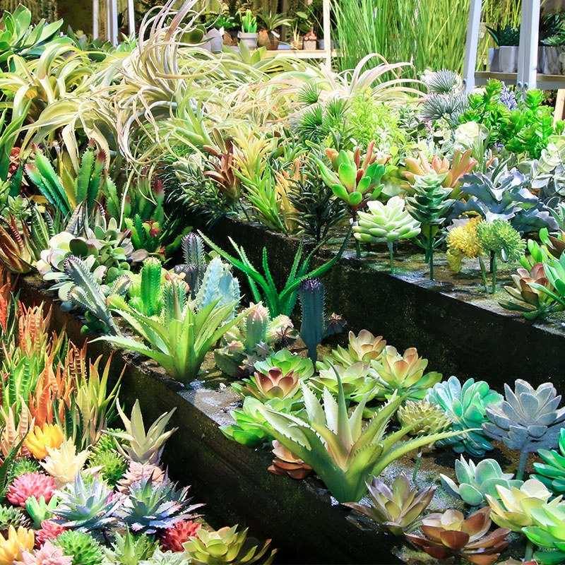 Оптовая продажа, декоративные мини-кактусы, ассортимент, уличная и комнатная подвесная композиция, искусственные растения, суккуленты для продажи