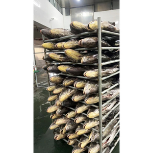 Poisson Croaker brun élevé en eau douce en vrac, 3+ kg, poisson surgelé IQF, croaker brun éviscéré - Product Image 2