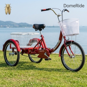 Oferta exclusiva del fabricante para el mercado internacional: Triciclo de carga abierto para adultos mayores con cesta, de una sola velocidad y 20 pulgadas. - Product Image 6