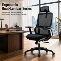 Chaise de bureau ergonomique à dossier haut en maille avec appui-tête 2D, double soutien lombaire, chaises de travail pivotantes pour bureau