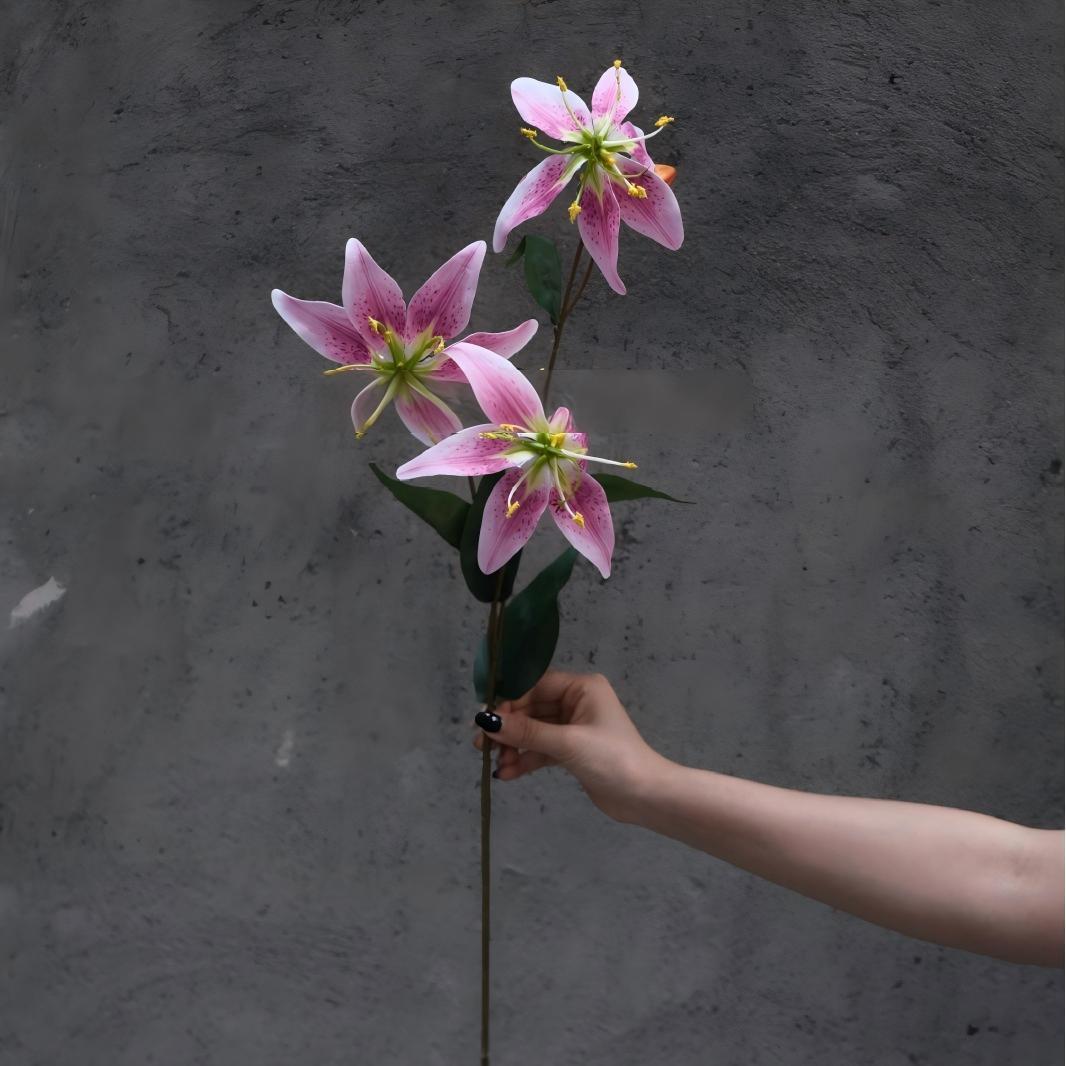 #7 Lily-Rose Viola