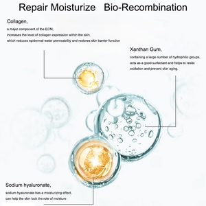 Suero reparador Microblading para tatuaje <span class=keywords><strong>de</strong></span> <span class=keywords><strong>cejas</strong></span>, <span class=keywords><strong>Gel</strong></span> <span class=keywords><strong>de</strong></span> fijación <span class=keywords><strong>de</strong></span> Color para después del cuidado, PMU, maquillaje permanente, <span class=keywords><strong>Gel</strong></span> reparador <span class=keywords><strong>de</strong></span> tatuajes <span class=keywords><strong>de</strong></span> labios - Product Image 5