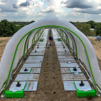 Cerceaux de tunnel de piquet en acier enduit de PE écologique de Chine pour jardin intérieur Offre Spéciale serres hydroponiques Support de plantes pour la maison