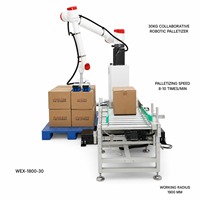 Robot de palettisation de cartons, hauteur 2400 mm, avec ventouses, pour l'emballage industriel des produits alimentaires, des boissons, des produits chimiques et des matériaux, équipé d'un bras robotisé.