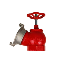 Hydrant d'incendie/vanne d'angle pour incendie, connecteur de type russe Dn50/dn65