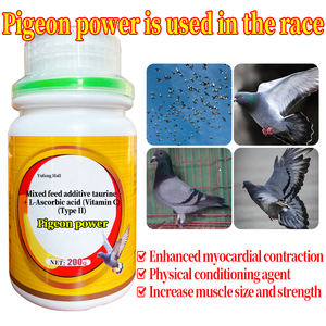 Phụ gia thức ăn để bổ sung vitamin dinh dưỡng cho chim bồ câu trong nước và chim bồ câu đua - Product Image 5