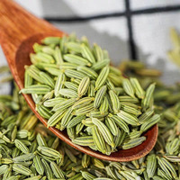 Graines de fenouil entières propres à faible teneur en impuretés, fournie par l'usine chinoise, expédition en vrac par conteneur, épice Halal pour le marché africain