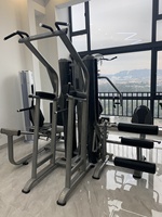 Machine à station unique Équipement de musculation multifonctionnel pour musculation Station de gymnastique à domicile unique