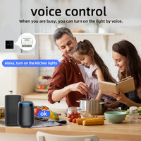 Interrupteur intelligent miniature JRUMP DIY compatible avec Alexa, Google Assistant et l'application Ewelink, convertit les anciens interrupteurs en interrupteurs intelligents avec connectivité Wi-Fi.