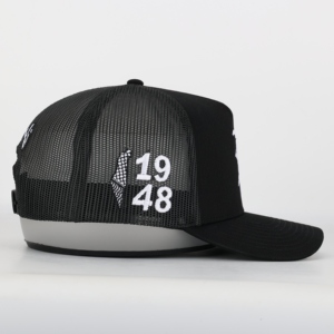 Gorra de Béisbol Personalizada con Logotipo para Papá, Estilo Urbano de 5 Paneles, Diseño a Rayas, Lazos Comunes, 100% Algodón, Precio de Fábrica - Product Image 4