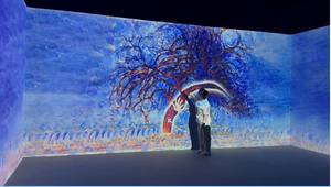 Interactive Wall and Floor <strong>Touch</strong> System for Immersive Projection and Interactive Games - Product Image 6