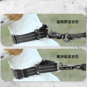 Collares de nailon con logotipo personalizado para perros, collar reflectante ajustable para mascotas con placa de nombre grabada, collares básicos duraderos para el cuello de gato - Product Image 2