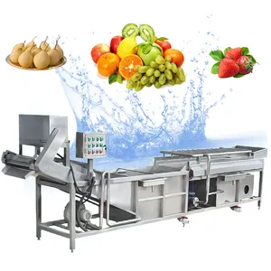 Industry type Fruit Washing Machine And Sorting for Vegetable