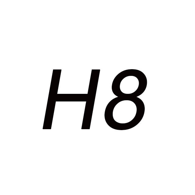 H8