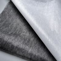 Entoilage thermocollant double point de liaison de qualité supérieure en polyester non tissé pour vêtements