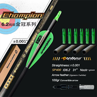 Flèche de tir à l'arc en carbone pur Pandarus Champion 0,001'' ID 6,2 mm 32 pouces SP300/350/400/500/600/700/800 avec plume en plastique