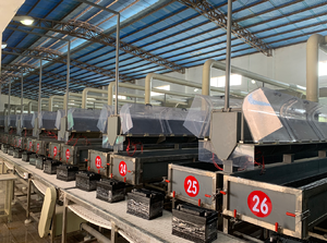 Batería de Motocicleta de 12V 7ah N7L N7B, Batería de Plomo-Ácido Libre de Mantenimiento para Motocicleta Eléctrica, Precios - Product Image 6