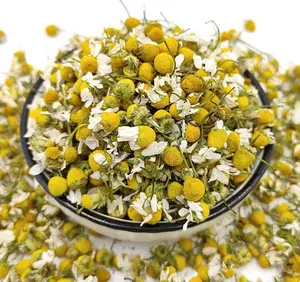 Fournisseurs fleurs à base de plantes thé de fleurs de camomille séchées en vrac pour le sommeil