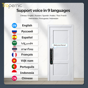 Fully Automatic <strong>3D</strong> Face Recognition Door Lock Electronic Digital Biometric <strong>Fingerprint</strong> Smart Gate Lock With Facial Scan for Home - Product Image 3