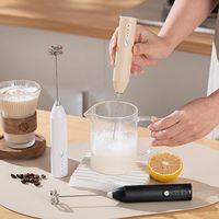 Mélangeur à lait en acier inoxydable de qualité alimentaire avec poignée en plastique, batteur à œufs manuel domestique, mousseur à lait USB-C, mousseur à café