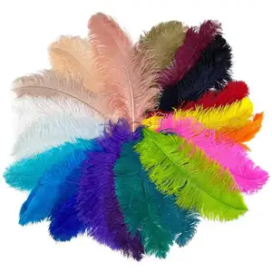 55-60cm (22-24inch)Wholesale Fashion Colorful Natural Ostrich Feather