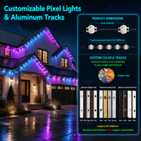 Vente en gros de lumières à points pixel RGBW multicolores de 30 mm pour toits, 12V 24V 36V, éclairage de Noël permanent