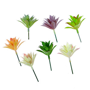 Accesorios Creativos para Manualidades, Pequeñas Cabezas de Flores de <span class=keywords><strong>Echeveria</strong></span>, Flores Artificiales de Plástico, Adornos Decorativos para el Hogar, Proceso de Resina - Product Image 6