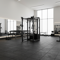 Rack de Squat Multifonctionnel avec Lat Pull Down et Low Row, Machine d'Entraînement Fonctionnelle à Usage Commercial pour Salle de Sport
