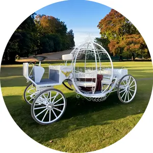 2024 maravillosa boda se adapta a todas las ocasiones Cenicienta calabaza Carro de caballos para Central Park Chuck Wagon