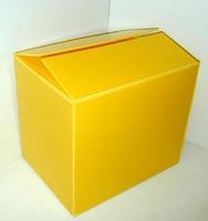 Boîte à courrier ondulée en plastique recyclé Stockage pliable polyvalent pour les graines de viande de fruits Salade Jus d'aliments pour animaux de compagnie Durable PP