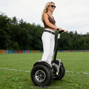 Prix usine Chine Kit numérique à double moteur électrique tout-terrain pour scooter, quad à pneus larges et planche de transport - Product Image 3