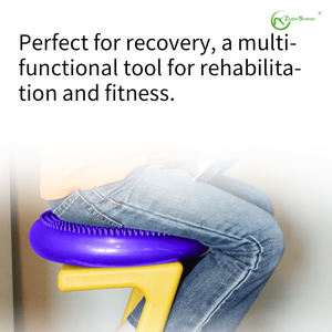 Disco de <span class=keywords><strong>Equilibrio</strong></span> Inflable Clásico de PVC, Fabricado por Zhensheng, Personalizado OEM, con Certificación REACH, CA65 y CE, para <span class=keywords><strong>Yoga</strong></span>, Pilates, <span class=keywords><strong>Asanas</strong></span> Clásicas, Masajes y Relajación - Product Image 5