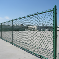 Veiligheidshekwerk van gegalvaniseerd PVC-gecoat ijzeren kettingmat, 3,5 mm draad, 60x60 mm maaswijdte, warmtebehandeld, milieuvriendelijk, stadionomheining