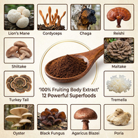 Café aux champignons Demeter en poudre instantanée, mélange 5-en-1 et 12-en-1 avec extrait de Reishi, Chaga, Crinière de lion et Cordyceps, support OEM