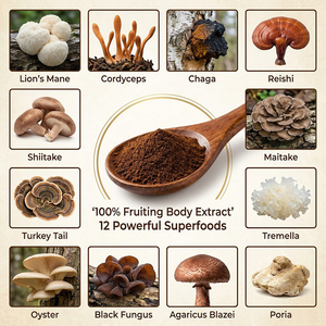 Café de <span class=keywords><strong>Hongos</strong></span> Orgánico en Polvo Instantáneo, Mezcla 5 en 1 y 12 en 1 <span class=keywords><strong>con</strong></span> Extracto de Reishi, Chaga, Melena de León y Cordyceps, Soporte OEM - Product Image 2