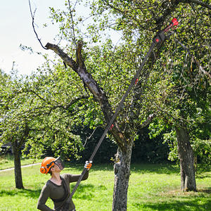 Ensemble <span class=keywords><strong>d</strong></span>'outils de jardin sans fil ONEVAN, cisailles électriques sans fil, scie à chaîne sans fil avec scie à branches télescopique - Product Image 6