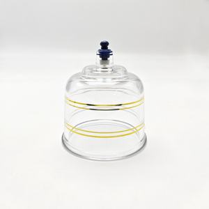 Profesional de terapia de ventosas al vacío de buena calidad, herramienta Hijama de tazas individuales con bomba para aplicación corporal NO.7 - Product Image 1