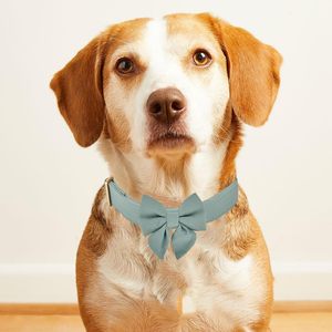 Collar Nibao Grande, Cómodo y Elegante <span class=keywords><strong>para</strong></span> <span class=keywords><strong>Perros</strong></span> <span class=keywords><strong>Machos</strong></span> Grandes - Product Image 6