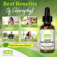 Gouttes de Vitamines en Gros 60ML – Complément Liquide Oral Original Naturel Végétalien à la Menthe pour l'Énergie