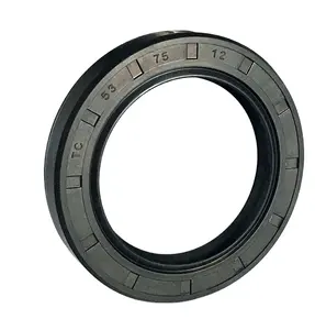 China Manufacturer FPM/NBR Auto Oil Seal Industry Oil Seal Shaft Oil Seal