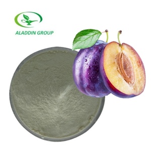 Poudre de jus de prune sombre séchée par atomisation hydrosoluble, extrait de fruit, additif alimentaire, conditionnée sous vide en bouteilles, fûts et récipients en verre - Product Image 1