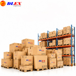 Servicio de Envío Internacional DLEX Express para Documentos y Certificados a Estados Unidos y Europa desde China - Product Image 1