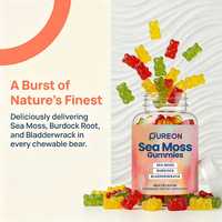 Pureon 16-1 Gummies de Mousse de Mer pour la Réparation Articulaire avec Racine de Bardane et Fucus Vésiculeux – Complément pour Adultes, Soutien Immunitaire et Métabolisme