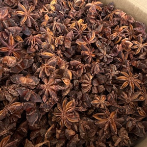 Hochwertiger Getrockneter Roher Ganzer Sternanis aus China Export - Product Image 3