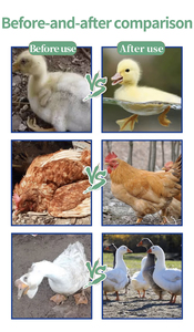 Antibiótico en Polvo para Aves de Corral, Vacas y Cerdos, Estilo Seco, Acelera el Crecimiento de las Aves y Mejora la Salud Respiratoria - Product Image 3